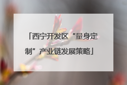 西宁开发区“量身定制”产业链发展策略