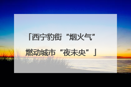 西宁豹街“烟火气” 燃动城市“夜未央”