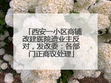 西安一小区商铺改建医院遭业主反对，发改委：各部门正商议处理