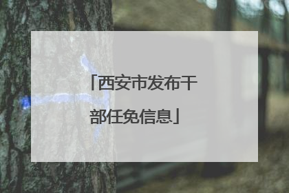 西安市发布干部任免信息