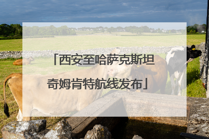 西安至哈萨克斯坦奇姆肯特航线发布