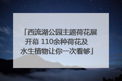 西流湖公园主题荷花展开幕 110余种荷花及水生植物让你一次看够