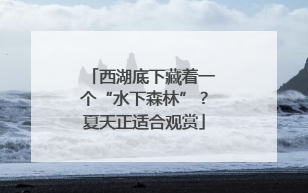 西湖底下藏着一个“水下森林”？夏天正适合观赏