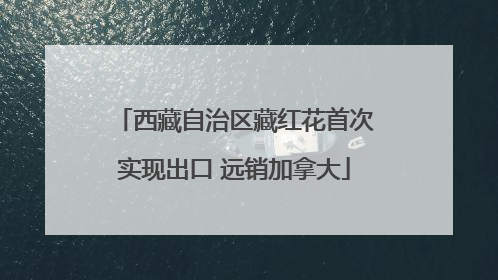 西藏自治区藏红花首次实现出口 远销加拿大