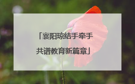 襄阳琼结手牵手 共谱教育新篇章