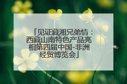 见证藏湘兄弟情：西藏山南特色产品亮相第四届中国-非洲经贸博览会
