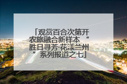 观赏百合次第开 农旅融合新样本 “胜日寻芳·花漾兰州”系列报道之七