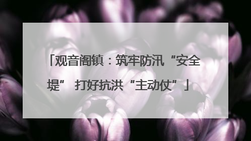 观音阁镇：筑牢防汛“安全堤” 打好抗洪“主动仗”