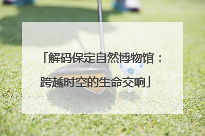 解码保定自然博物馆：跨越时空的生命交响