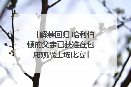 解禁回归 哈利伯顿的父亲已获准在包厢观战主场比赛