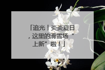 追光丨炎炎夏日，这里的滑雪场“上新”啦！