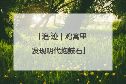 追·迹｜鸡窝里发现明代抱鼓石