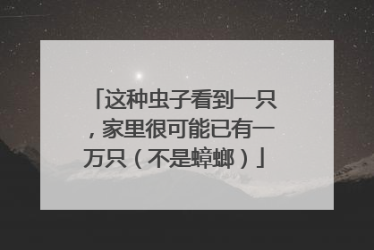 这种虫子看到一只，家里很可能已有一万只（不是蟑螂）