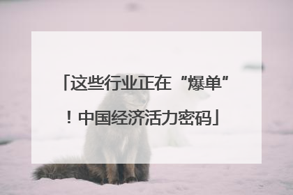 这些行业正在“爆单”！中国经济活力密码