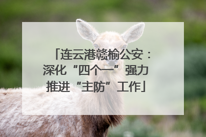 连云港赣榆公安：深化“四个一”强力推进“主防”工作