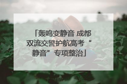 轰鸣变静音 成都双流交警护航高考“静音”专项整治