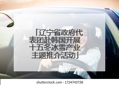 辽宁省政府代表团赴韩国开展十五冬冰雪产业主题推介活动