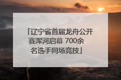 辽宁省首届龙舟公开赛浑河启幕 700余名选手同场竞技