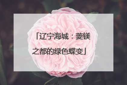 辽宁海城：菱镁之都的绿色蝶变