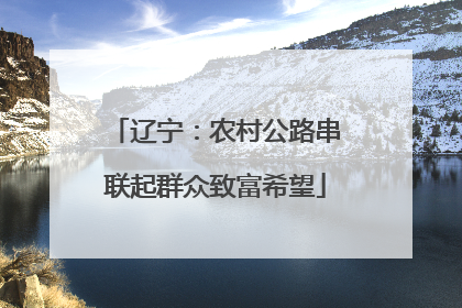 辽宁：农村公路串联起群众致富希望