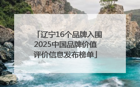 辽宁16个品牌入围2025中国品牌价值评价信息发布榜单