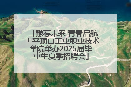 豫荐未来 青春启航！平顶山工业职业技术学院举办2025届毕业生夏季招聘会