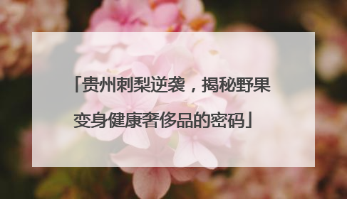 贵州刺梨逆袭，揭秘野果变身健康奢侈品的密码