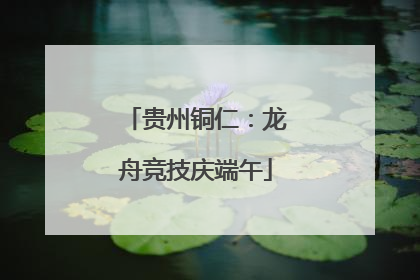 贵州铜仁：龙舟竞技庆端午