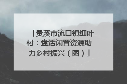 贵溪市流口镇细叶村：盘活闲置资源助力乡村振兴（图）