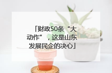 财政50条“大动作”，这是山东发展民企的决心