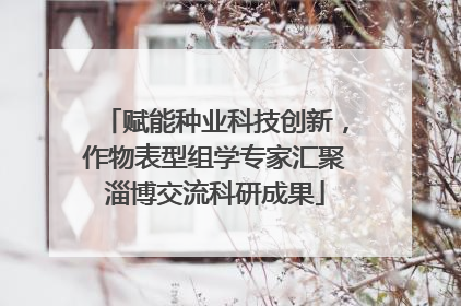 赋能种业科技创新，作物表型组学专家汇聚淄博交流科研成果