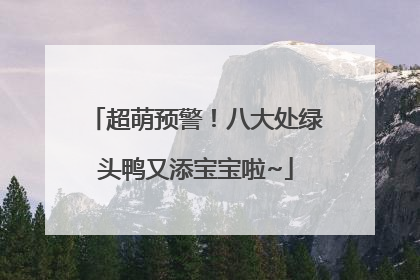 超萌预警！八大处绿头鸭又添宝宝啦~