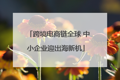 跨境电商链全球 中小企业迎出海新机