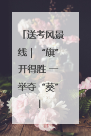 送考风景线｜“旗”开得胜 一举夺“葵”