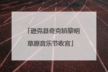 逊克县奇克镇黎明草原音乐节收官