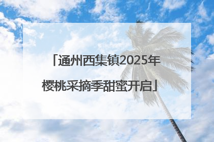 通州西集镇2025年樱桃采摘季甜蜜开启