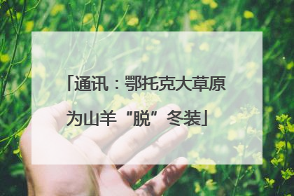 通讯：鄂托克大草原为山羊“脱”冬装