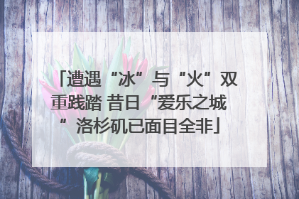 遭遇“冰”与“火”双重践踏 昔日“爱乐之城”洛杉矶已面目全非