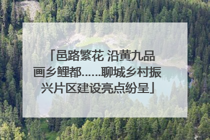 邑路繁花 沿黄九品 画乡鲤都……聊城乡村振兴片区建设亮点纷呈