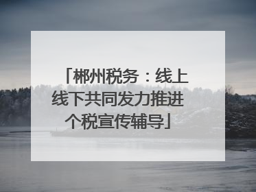 郴州税务：线上线下共同发力推进个税宣传辅导