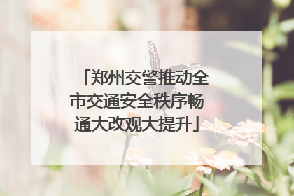 郑州交警推动全市交通安全秩序畅通大改观大提升