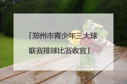 郑州市青少年三大球联赛排球比赛收官