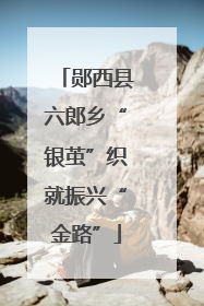 郧西县六郎乡“银茧”织就振兴“金路”