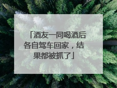 酒友一同喝酒后各自驾车回家，结果都被抓了