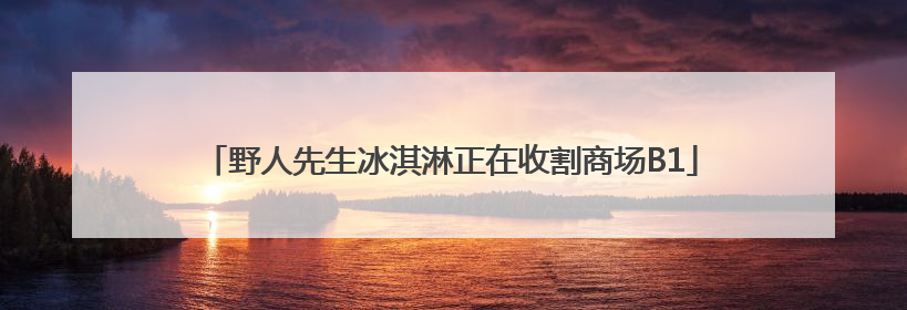 野人先生冰淇淋正在收割商场B1