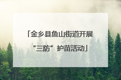 金乡县鱼山街道开展“三防”护苗活动