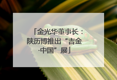 金光华董事长：陕历博推出“吉金·中国”展