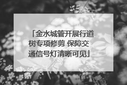 金水城管开展行道树专项修剪 保障交通信号灯清晰可见