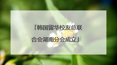 韩国留华校友总联合会湖南分会成立