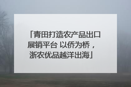 青田打造农产品出口展销平台 以侨为桥，浙农优品越洋出海